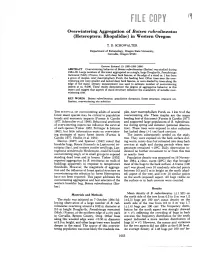 File Copy 161