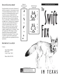 Swift Fox Surveys Conducted? Pattern of Swift Fox Tracks Swift Fox Tracks (Walking) (Actual Size) Several Methods Can Be Used to Determine If Swift Fox Are Present