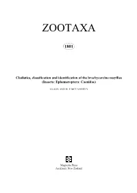 Zootaxa, Cladistics, Classification and Identification Of