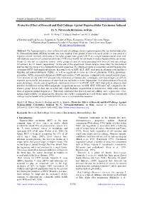 1136 Protective Effect of Broccoli and Red Cabbage Against