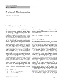 Development of the Endocardium