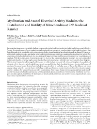 Myelination and Axonal Electrical Activity Modulate the Distribution and Motility of Mitochondria at CNS Nodes of Ranvier