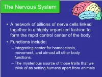 The Nervous System