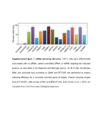 Supplemental Figure 1. Sirna Silencing Efficiency. THP-1 Cells Were Differentiated and Treated with No Sirna, Control Scrambled