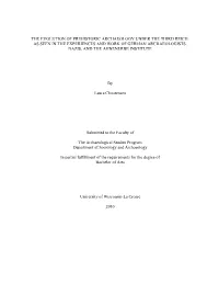 The Evolution of Prehistoric Archaeology Under the Third Reich: As Seen in the Experiences and Work of German Archaeologists, Nazis, and the Ahnenerbe Institute