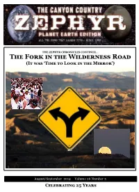 The Fork in the Wilderness Road (It Was ‘Time to Look in the Mirror’)
