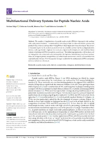 Multifunctional Delivery Systems for Peptide Nucleic Acids