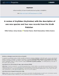 A Review of Gryllidae (Grylloidea) with the Description of One New Species and Four New Records from the Sindh Pakistan