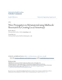 Wave Propagation in Metamaterial Using Multiscale Resonators by Creating Local Anisotropy Raiz U