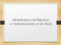 Chapter 7 Body Systems