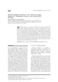Dicliptera Aegyptiaca (Acanthaceae), a New Species from Egypt Supported by Morphological Characters and Rbcl-Based DNA Barcoding Eman M