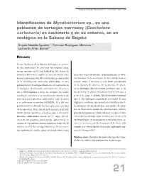 Identificación De Mycobacterium Sp., En Una Población De