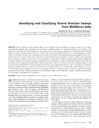 Identifying and Classifying Shared Selective Sweeps from Multilocus Data
