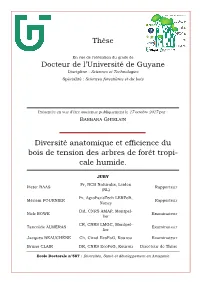 Titre Du Document
