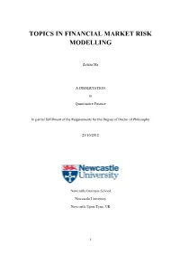 Topics in Financial Market Risk Modelling