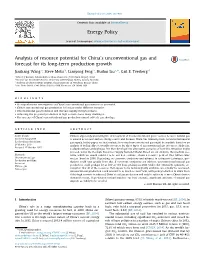 Analysis of Resource Potential for China's Unconventional Gas And
