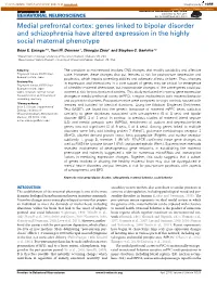 Medial Prefrontal Cortex: Genes Linked to Bipolar Disorder and Schizophrenia Have Altered Expression in the Highly Social Maternal Phenotype