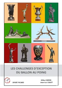 Les Challenges D'exception Du Ballon Au Poing