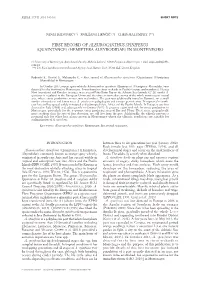 Download This PDF File