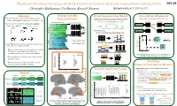 Representation of Real-World Event Schemas During Narrative Perception 360.28 Christopher Baldassano, Uri Hasson, Kenneth Norman