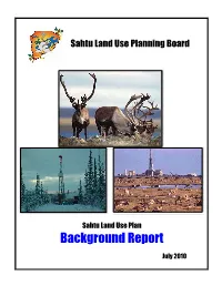 Background Report