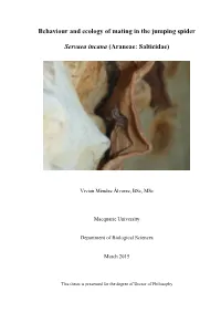 Behaviour and Ecology of Mating in the Jumping Spider Servaea Incana