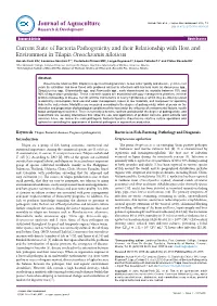 Current State of Bacteria Pathogenicity and Their Relationship with Host and Environment in Tilapia Oreochromis Niloticus
