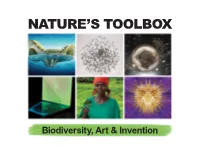 Nature's Toolbox: Biodiversity, Art & Invention" Executive Director, Art Works for Change EXHIBITION OVERVIEW