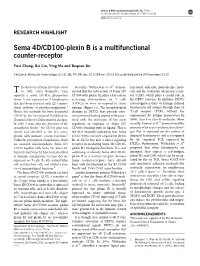 Sema 4D/CD100-Plexin B Is a Multifunctional Counter-Receptor