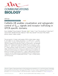 Camello-XR Enables Visualization and Optogenetic Control of Gq/11 Signals and Receptor Trafﬁcking in GPCR-Speciﬁc Domains