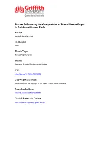 Factors Influencing the Composition of Faunal Assemblages in Rainforest Stream Pools