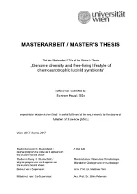 Masterarbeit / Master's Thesis