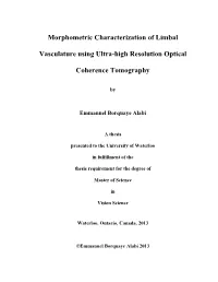 Morphometric Characterization of Limbal Vasculature Using Ultra-High