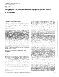 Structures, Functions, and Biological Properties of Sulfated Fucans and An
