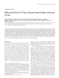 Differential Role of N-Type Calcium Channel Splice Isoforms in Pain