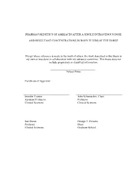Nelson Pinto.Pdf
