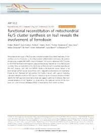 Functional Reconstitution of Mitochondrial Fe/S Cluster Synthesis on Isu1 Reveals the Involvement of Ferredoxin