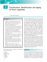 3 Classification, Identification and Typing of Micro-Organisms
