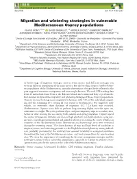 Migration and Wintering Strategies in Vulnerable Mediterranean Osprey Populations