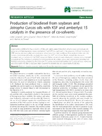 Production of Biodiesel from Soybean and Jatropha Curcas Oils with KSF
