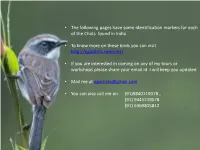 • the Following Pages Have Some Identification Markers for Each of the Chats Found in India • to Know More on These Birds Y