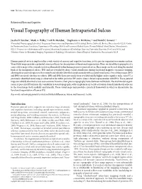 Visual Topography of Human Intraparietal Sulcus