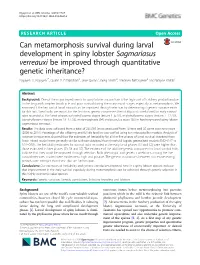 Can Metamorphosis Survival During Larval Development in Spiny Lobster Sagmariasus Verreauxi Be Improved Through Quantitative Genetic Inheritance? Nguyen H