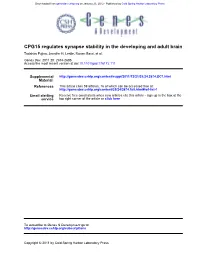 CPG15 Regulates Synapse Stability in the Developing and Adult Brain