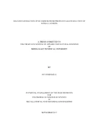 Solvent Extraction of Scandium from Pregnant Leach Solution of Nickel Laterite