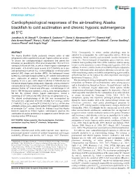 Cardiophysiological Responses of the Air-Breathing Alaska Blackfish to Cold Acclimation and Chronic Hypoxic Submergence at 5°C Jonathan A