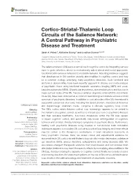 Cortico-Striatal-Thalamic Loop Circuits of the Salience Network: a Central Pathway in Psychiatric Disease and Treatment