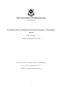 Investigation Into the Emerging Soil Borne Disease of Peanut – Neocosmospora Root Rot