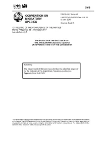 Proposal for Inclusion of the Angelshark