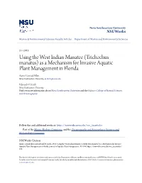Using the West Indian Manatee (Trichechus Manatus)